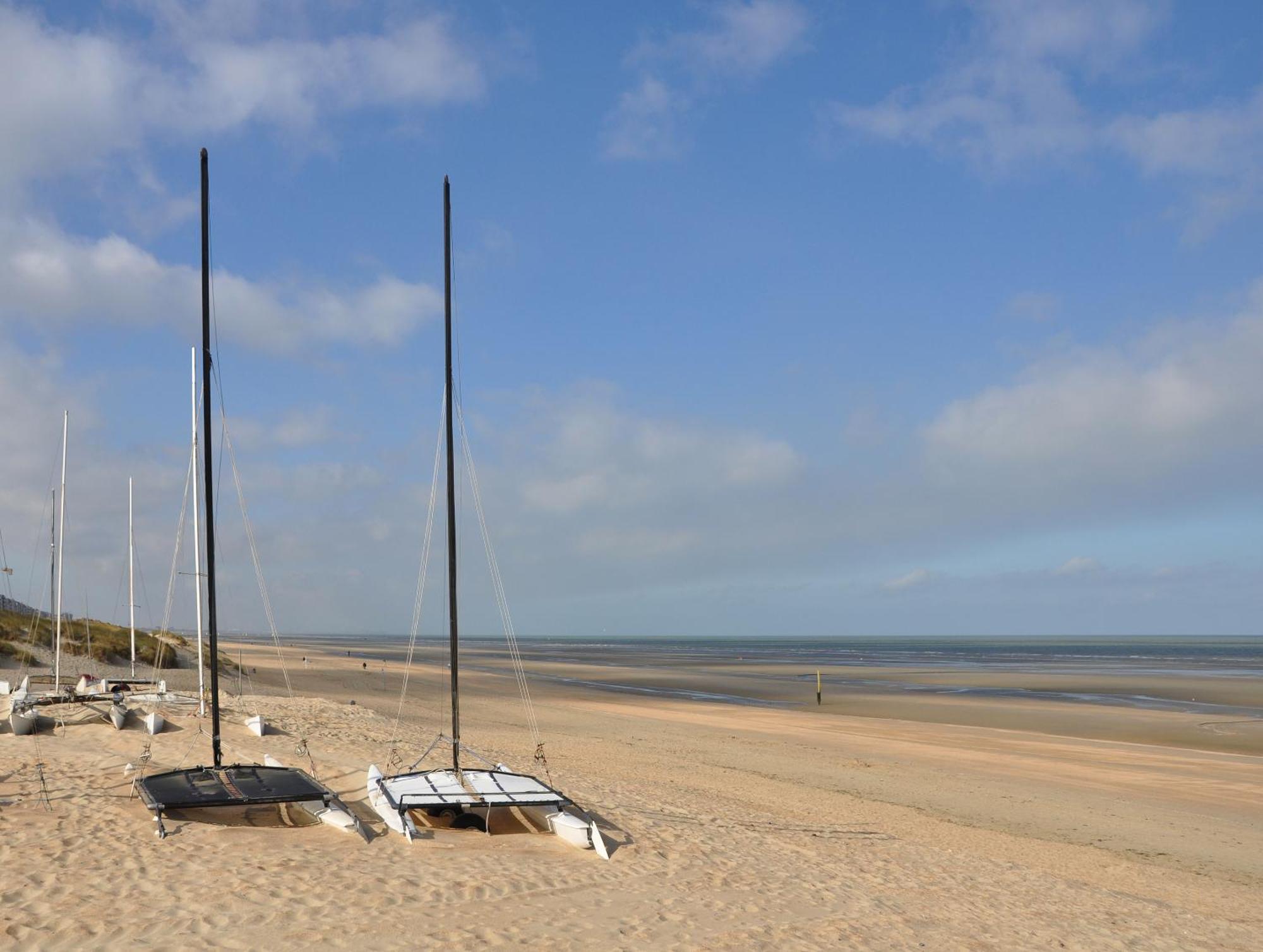 Vitamine D Koksijde Exterior foto